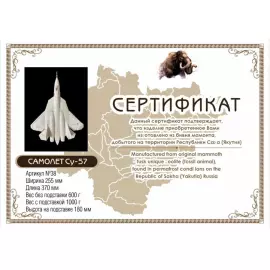 A composite model of the SU-57 mammoth tusk aircraft on a stand